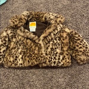 Cheetah fur